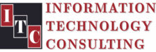 Information Technology Consulting 
